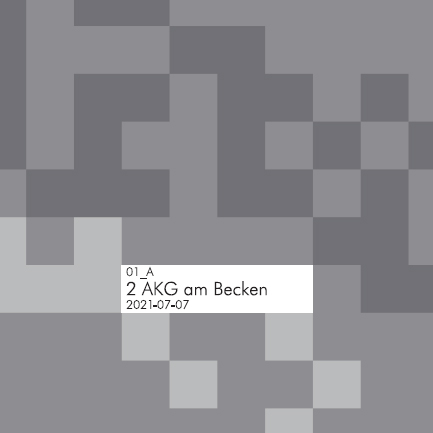 2022-08 wendelrekords 01 Das Kleine Regen Rhythmus Orchester (10 Vinyl)